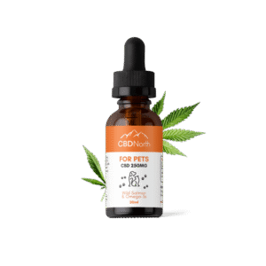 Orange County CBD Stawberry Cheesecake